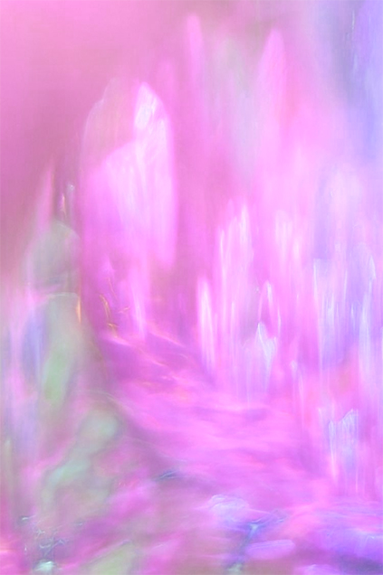 女性之花