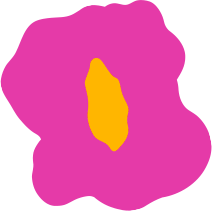 索玛花